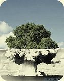 treeexplosion.jpg image by bwinny_iljon