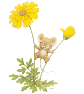 flower flower